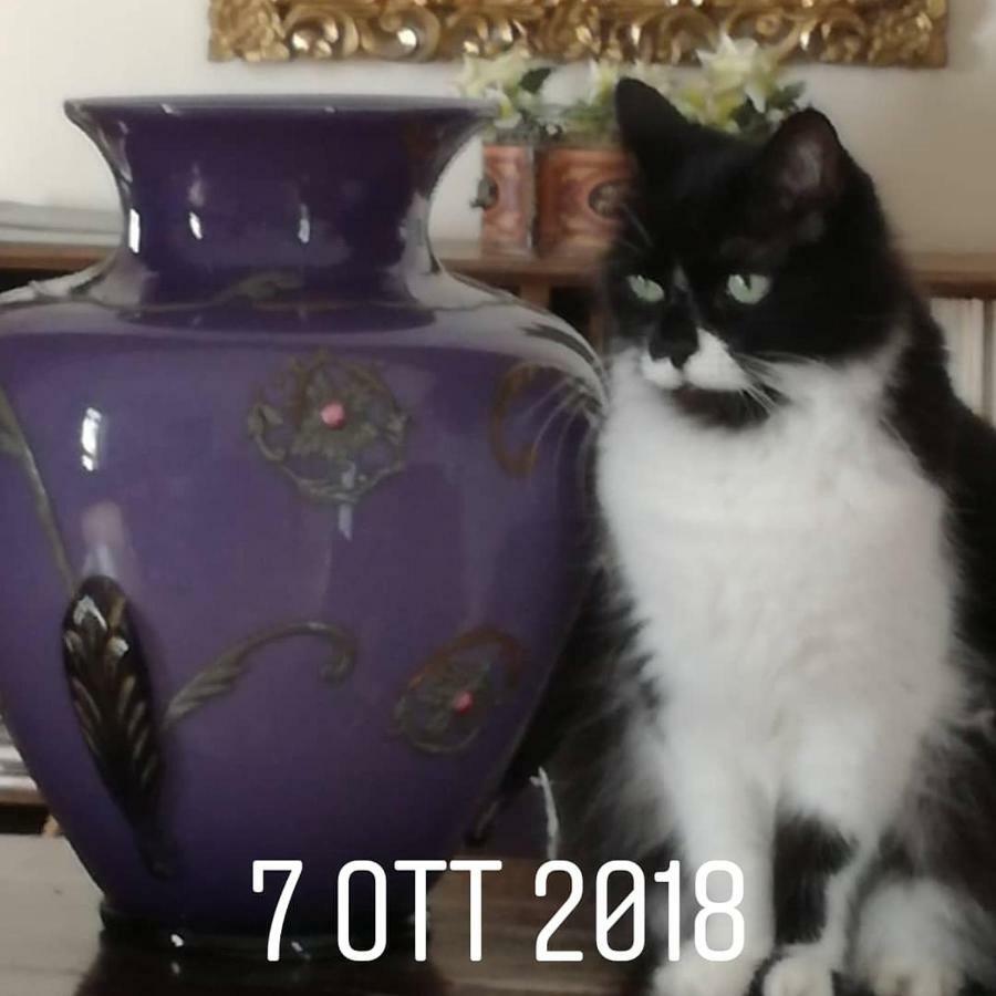 Rosella Bianchi Bed & Breakfast Palermo Dış mekan fotoğraf